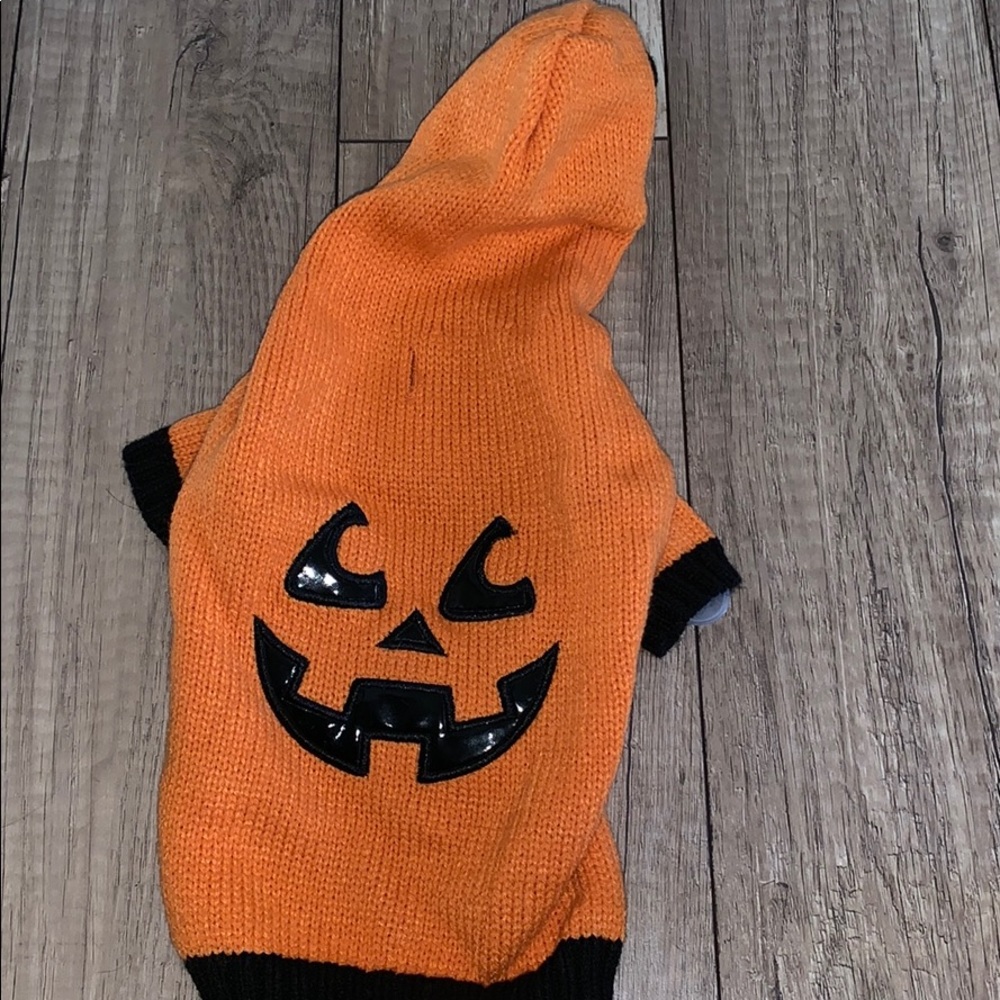 Dog pet canine pumpkin halloween outfit costume XS
